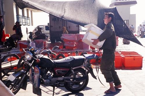 金碧辉煌/Fujian Blue(2007) 电影图片 剧照 #04 大图 500X331