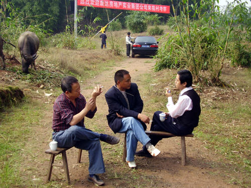 好猫/Good Cats(2008) 电影图片 剧照 #02 大图 500X375