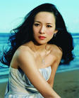 章子怡 Ziyi Zhang 写真 #110