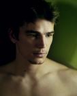 写真 #30：乔什·哈奈特 Josh Hartnett