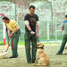 失败者Underdogs(2007)