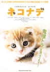 小猫奇缘 海报 #02