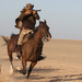 好家伙、坏家伙、怪家伙/The Good, the Bad and the Weird(2008)