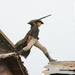 好家伙、坏家伙、怪家伙/The Good, the Bad and the Weird(2008)