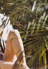 写真 #112：科洛·塞维尼 Chloë Sevigny