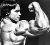 写真 #03：阿诺·施瓦辛格 Arnold Schwarzenegger