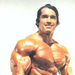 写真 #01：阿诺·施瓦辛格 Arnold Schwarzenegger