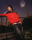 写真 #52：森田刚 Go Morita