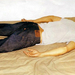 写真 #100 省略图