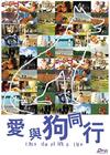 爱与狗同行 DVD封套 #01