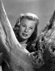 写真 #09：琼·阿利森 June Allyson