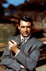写真 #13：加里·格兰特 Cary Grant