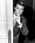 写真 #14：加里·格兰特 Cary Grant