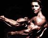 写真 #28：阿诺·施瓦辛格 Arnold Schwarzenegger