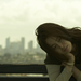 写真 #172 省略图