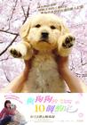 10个约定 海报(台湾) #01