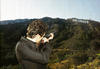 写真 #32：詹姆斯·弗兰科 James Franco