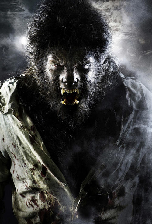 狼人The Wolf Man(2009)剧照 #02