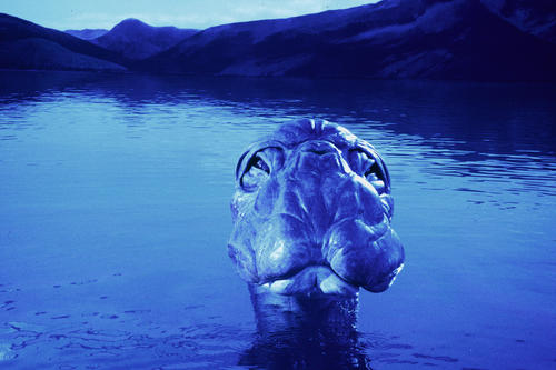深湖巨兽Mee-Shee: The Water Giant(2005)剧照 #24