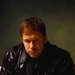 写真 #02：唐尼·沃尔伯格 Donnie Wahlberg