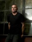写真 #30：多米尼克·珀塞尔 Dominic Purcell