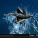 与海怪同行：史前探险Sea Monsters: A Prehistoric Adventure(2007)