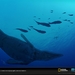 与海怪同行：史前探险Sea Monsters: A Prehistoric Adventure(2007)