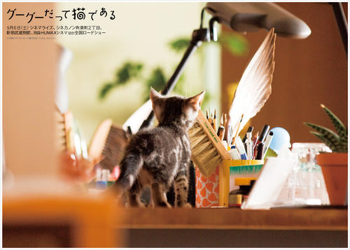 咕咕是一只猫