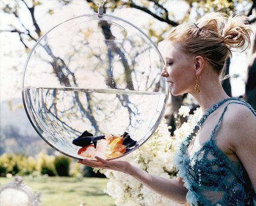 凯特·布兰切特 Cate Blanchett 写真 #277
