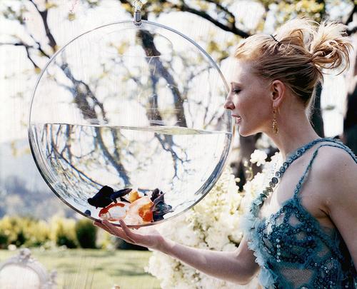 凯特·布兰切特 Cate Blanchett 写真 #280