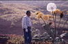 生活照 #16：黑泽明 Akira Kurosawa