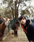 写真 #09：詹森·舒瓦兹曼 Jason Schwartzman