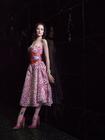 写真 #67：埃文·蕾切尔·伍德 Evan Rachel Wood