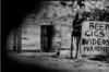 写真 #73：艾莎·阿基多 Asia Argento