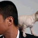 写真 #47 省略图