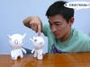 写真 #57：刘德华 Andy Lau