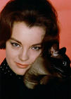 写真 #29：罗密·施奈德 Romy Schneider