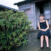 写真 #175 省略图