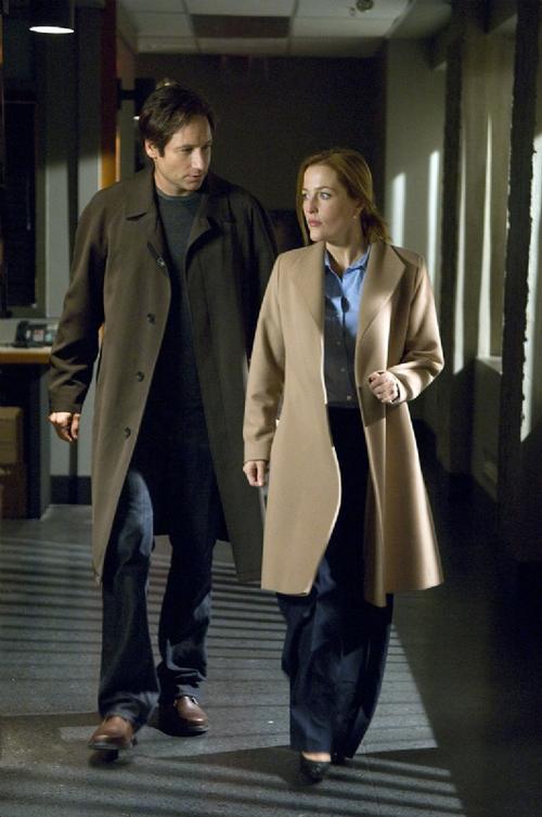 X档案：我要相信/The X-Files: I Want to Believe(2008) 电影图片 剧照 #02 大图 531X800