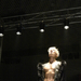 军鸡Shamo(2007)