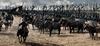 江山美人/An Empress and The Warriors(2008) 电影图片 剧照 #09 省略图