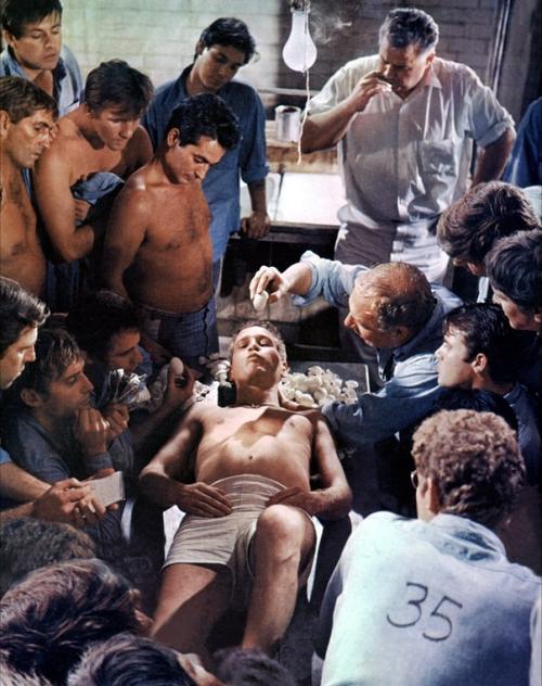 铁窗喋血Cool Hand Luke(1967)剧照 #03