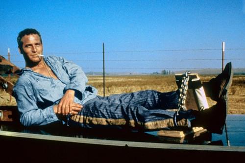 铁窗喋血Cool Hand Luke(1967)剧照 #02