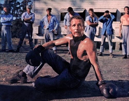 铁窗喋血Cool Hand Luke(1967)剧照 #08