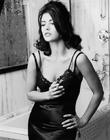 写真 #276：凯瑟琳·泽塔-琼斯 Catherine Zeta-Jones