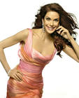 写真 #08：泰瑞·海切尔 Teri Hatcher
