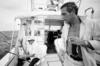 写真 #64：保罗·纽曼 Paul Newman