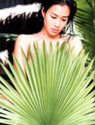 写真 #22：钟丽缇 Christy Chung
