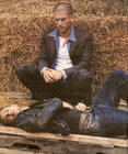 写真 #172：文特沃斯·米勒 Wentworth Miller