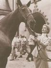 写真 #0102：格蕾丝·凯利 Grace Kelly